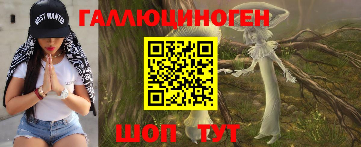 Псилоцибиновые грибы Psilocybe Арсеньев